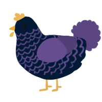 A tumblr and overcast chicken with a lace pattern