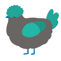 A grey and turquoise chicken