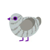 (unnamed), a silver and ash chicken with a bar pattern