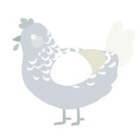 Snow Mountain, a mist and white chicken with a half-lace pattern