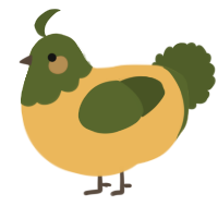 Moss, a honey and olive chicken with a head pattern