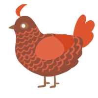 (unnamed), a russet and vermilion chicken with a lace pattern