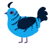 A sky and tumblr chicken with a half-bar pattern