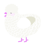 (unnamed), a white chicken with a lace pattern