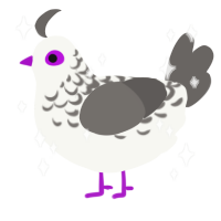 A white and grey chicken with a half-lace pattern