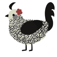 A white and sable chicken with a double-lace pattern