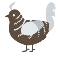 Lichen, a bark and mist chicken with a half-bar pattern