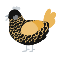 Caution, a black and honey chicken with a lace pattern