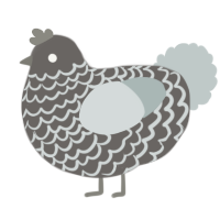 (unnamed), a grey and silver chicken with a lace pattern