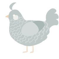 Ghost, a silver chicken with a lace pattern