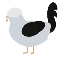 Display Error, a mist and black chicken