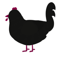 Keling, a black chicken with a bar pattern