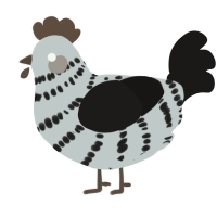 A silver and sable chicken with a bar pattern