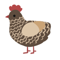 shortbread, a bark and beige chicken with a lace pattern