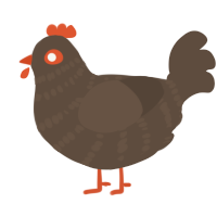 A bark chicken with a bar pattern