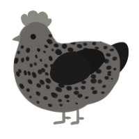 burnt cookie, a grey and sable chicken with a speckle pattern