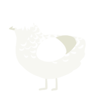 (unnamed), a white chicken with a half-lace pattern