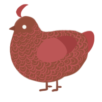 Rus red rus, a russet and red chicken with a double-lace pattern