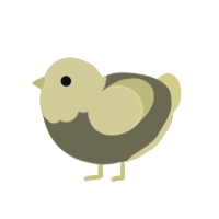 Chip, a ash and white chicken with a head pattern