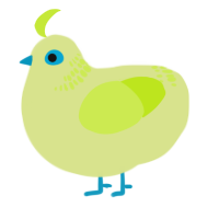 A lemon and lime chicken with a neck-band pattern