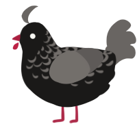 (unnamed), a sable and grey chicken with a half-lace pattern