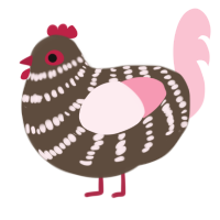 Chaene, a bark and rose chicken with a bar pattern