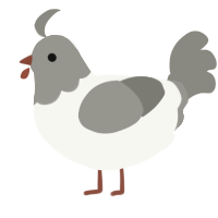 pigeon jr, a white and ash chicken with a head pattern