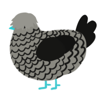 A ash and black chicken with a lace pattern
