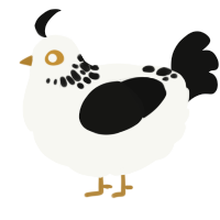 A white and black chicken with a neck-speckle pattern