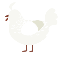 (unnamed), a white chicken with a half-lace pattern