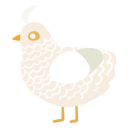 (unnamed), a cream and white chicken with a lace pattern