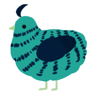 sea bean, a turquoise and tumblr chicken with a bar pattern