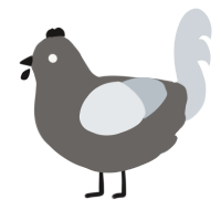 A grey and mist chicken