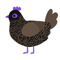 Evanescence, a black and bark chicken with a double-lace pattern
