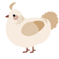(unnamed), a cream and beige chicken with a neck-band pattern