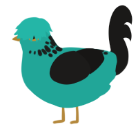 (unnamed), a turquoise and sable chicken with a neck-speckle pattern