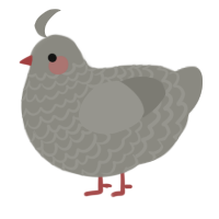 Bloodstained Stone, a ash chicken with a lace pattern