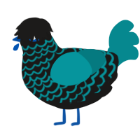 emo blue, a sable and teal chicken with a lace pattern