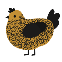 Cold Shower, a gold and sable chicken with a double-lace pattern