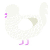 mystery, a white chicken with a lace pattern