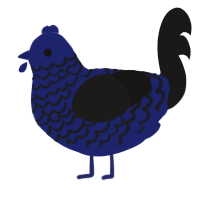 A navy and sable chicken with a lace pattern