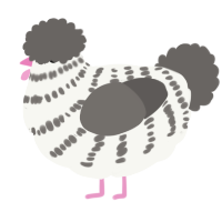 A white and grey chicken with a bar pattern