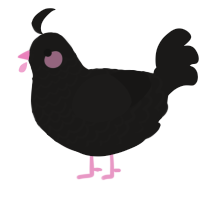 (unnamed), a sable chicken with a lace pattern