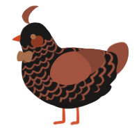 Razeirl, a sable and russet chicken with a lace pattern