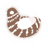 A russet and rose chicken with a bar pattern