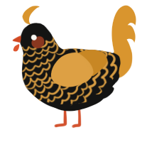 A black and orange chicken with a lace pattern