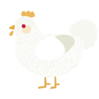 Lucio, a white chicken with a double-lace pattern