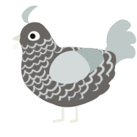 (unnamed), a grey and silver chicken with a lace pattern