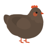 barkley, a bark chicken with a head pattern