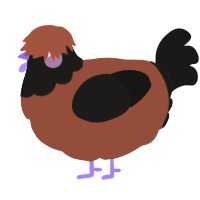 ImJustKen, a russet and sable chicken with a head pattern